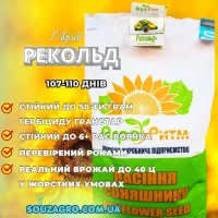 Соняшник Рекольд, 107-110 днів, під Гранстар, Преміум 3.6