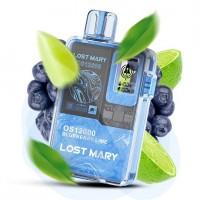 Сигарета Lost Mary OS12000 • Чорниця-Лайм