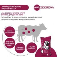 Премікс для дійних корів AVA ZDOROVA ВРХ PRO Avavit