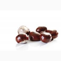 Куплю каштан оптом