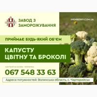Купуємо цвітну капусту та капусту броколі