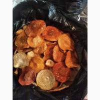 Відкриті шляпки червоного мухомора