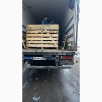 Продам капусту красно кочаную от поставщика с 5 тонн
