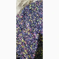 Продам заморожену чорницю відсорт