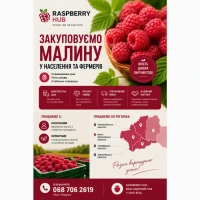 Закупляємо свіжу малину сезон 2026