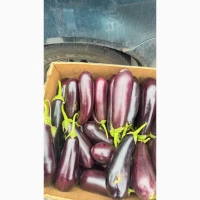 Продам баклажан