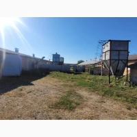 Продаж діючого птахівничого комплексу