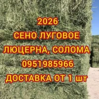 Оптовая/поштучная продажа лугового сена, люцерны с доставкой по Украине