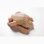 Продам голубей мясной породы живьем и резаные