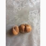 Продам Рокамболь семена