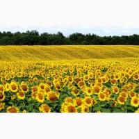 Продажа минеральных удобрений