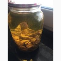 Продам Боброва струя