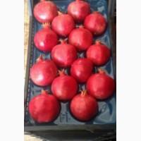 Продам гранат