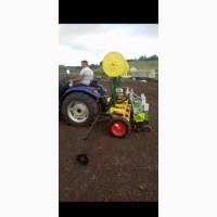 Капуста выращивание, Оказываем услуги по посеву капусты