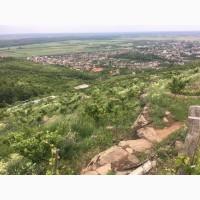 Персики