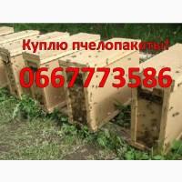 Куплю пчелопакеты