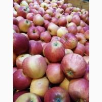 Продам Яблоко