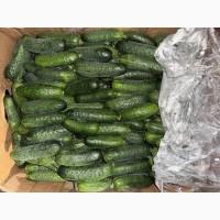 Помідор Сливка