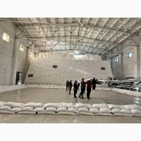 Купую цукор 1000 тонн на експорт