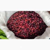 Сушена шипшина з Карпат