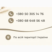 Надам послуги з фумігації зерна, дезінсекція елеваторів, складів, дератизація, дезінфекція