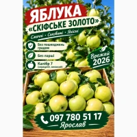 Продаж яблук Скіфське золото Оріон