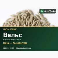Купити насіння жита Вальс - еліта, РН-1, документи