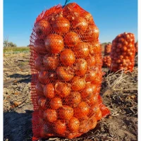 Ци6уля 6внк0