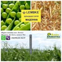 Продаем посевмат Гороха Мадонна СН1, оригинал