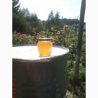 Продам липовый мед