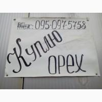 Куплю орех грецкии в любом тонаже за хорошие деньги