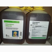 Альтерно - надійний контроль хвороб та підвищення врожайності ріпаку