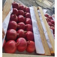 Продам гранат из Азербайджана