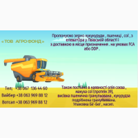 Продамо зерно з елеватора на умовах FCA або DDP.We offer corn, wheat, soybean grain from