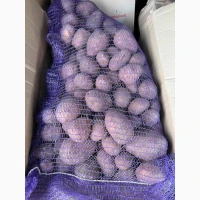 Продам картоплю