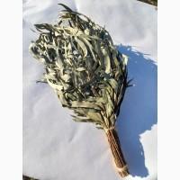 Віники для бані, Дуб Береза Липа Євкаліпт Трави