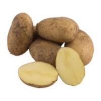 Партіями від 10 тонн купимо картоплю на соціальні проєкти опт