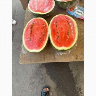 Фарао талісман нун продам кавун