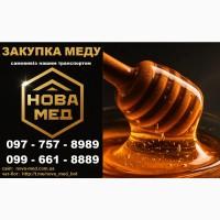Куплю МЕД без антибіотиків в Харківській області від 300 кг