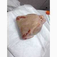 Продам полутушки курицы на экспорт. От поставщика с 20 тонн Польского производства