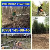 Расчистка участка