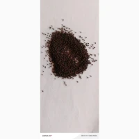 Продам Чорну суху горчицю