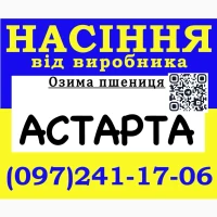 Насіння пшениці (озимої), сорт Астарта (еліта) 2026 року від виробника