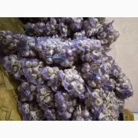 Продам часник