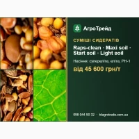 Насіння сумішей сидератів від 45 600 грн/т - еліта, РН-1, документи