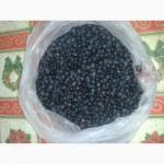 Продам замороженную чернику