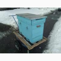 Продаем 37 пчелосемей