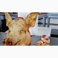 Продажа свиних та яловичих півтуш та суп продуктів