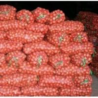 Продам лук сорт глобус