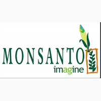 Семена сои MONSANTO Мaxus